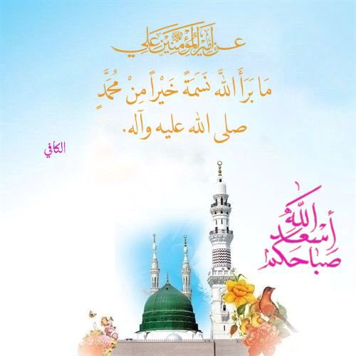 صبحكم الله بالخير وتمام العافية 💐.