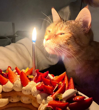 nineelevon's tweet photo. It's my birthday . :] https://t.co/Ahox5xBSeF
