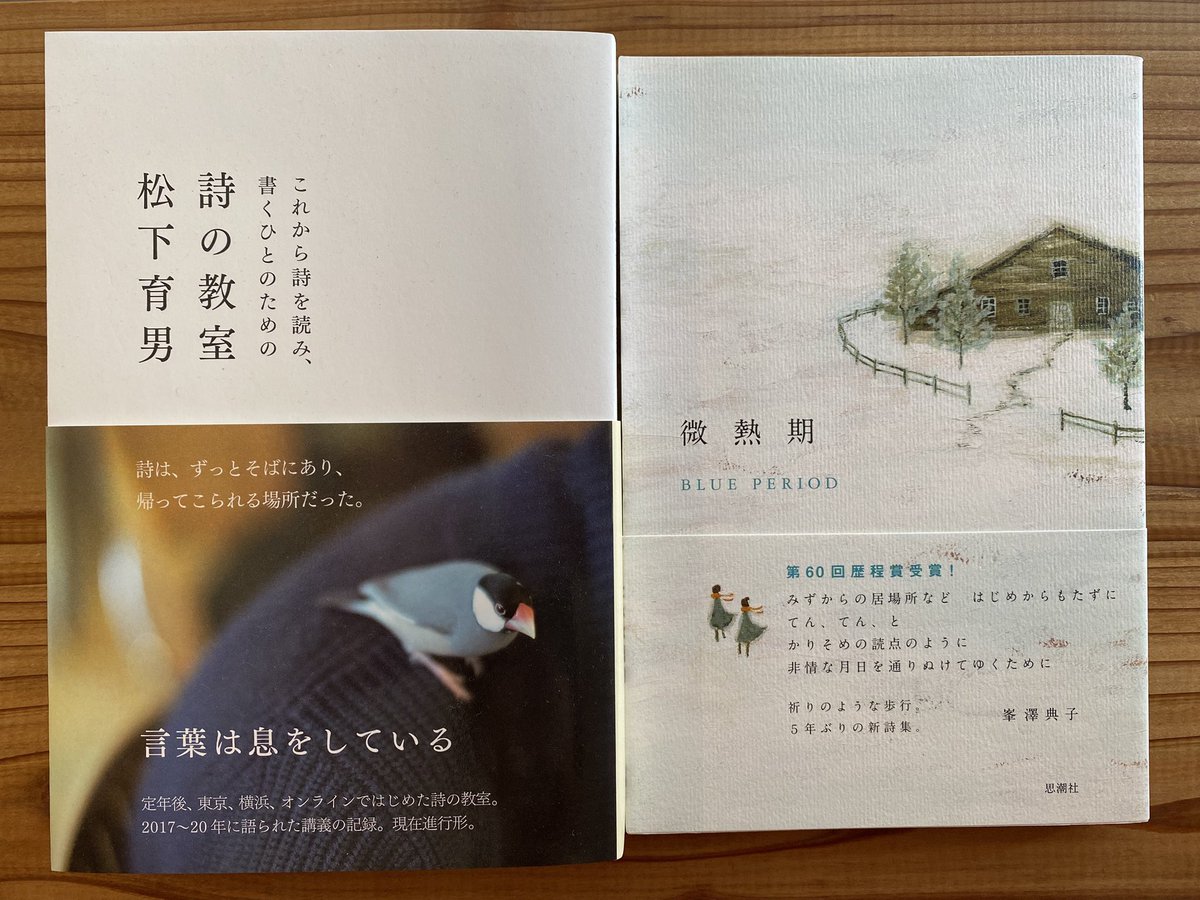 【中古】 隠喩的思考/思潮社/野沢啓 中古】 隠喩的思考/思潮社/野沢啓 Amazon.co.jp: 隠喩的思考