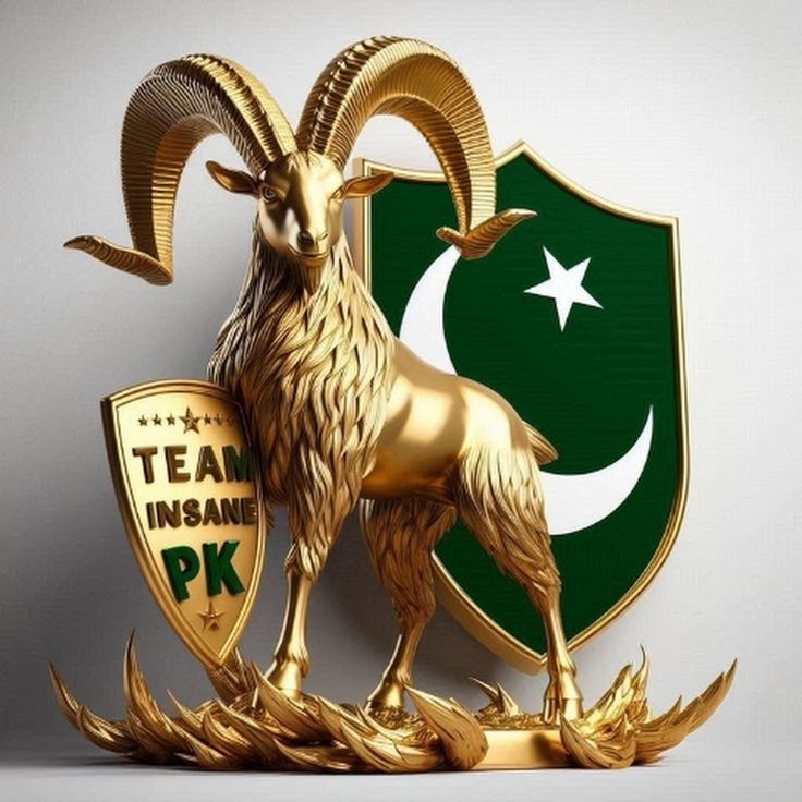 آپ سب کو بس اپنے محافظوں پر بھروسہ رکھنا ہے بس سب چالیں چل چکے اب ان شاءاللہ بہت جلد سب پکڑ لیے جائیں گے جنہوں نے اس ملک کو نقصان پہنچایا ہے بس صبر تحمل سے کام لینا ہم سب پاک آرمی ہیں ہر پاکستانی اپنے وطن کا سپاہی ہے  مشکل کی گھڑی میں اپنے محافظوں کے ساتھ کھڑے ہیں سلامت رہیں
⚔️🇵🇰