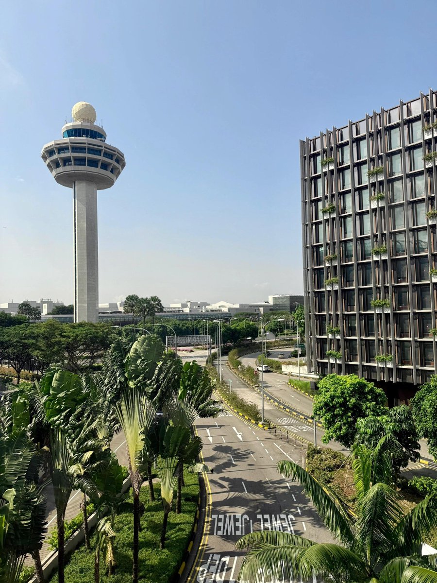 nnqhttt's tweet image. 🌳🌷いつも暖かく明るい街