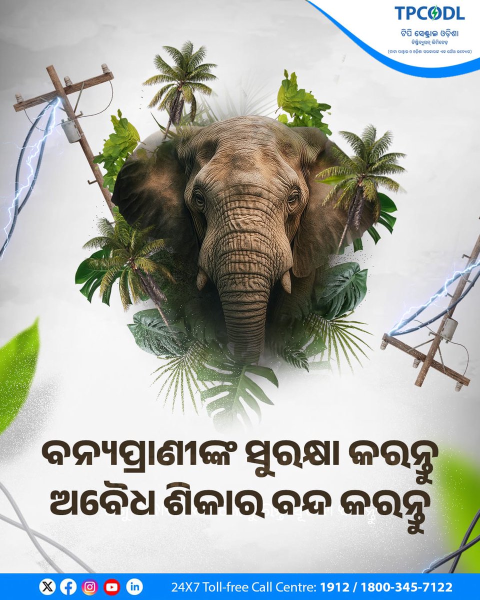 TPCentralOdisha's tweet photo. ବିଜୁଳି ତାର ବିଛାଇ ବନ୍ୟପ୍ରାଣୀଙ୍କ ଶିକାର କରନ୍ତୁ ନାହିଁ । ଏହ���ଦ୍ୱାରା ସାଧାରଣ ଲୋକଙ୍କ ଜୀବନ ବିପଦରେ ପଡ଼ିଥାଏ । ଏଥିରୁ ନିବୃତ୍ତ ରୁହନ୍ତୁ । ଏଭଳି ହେବାର ଦେଖିଲେ ତୁରନ୍ତ ନିକଟସ୍ଥ ବିଦ୍ୟୁତ କାର୍ଯ୍ୟାଳୟ କିମ୍ବା ବନ ବିଭାଗକୁ ଜଣାନ୍ତୁ ।
#ProtectWildlife #StopAnimalPoaching #WildlifeProtection https://t.co/aCWCQ8lrPz