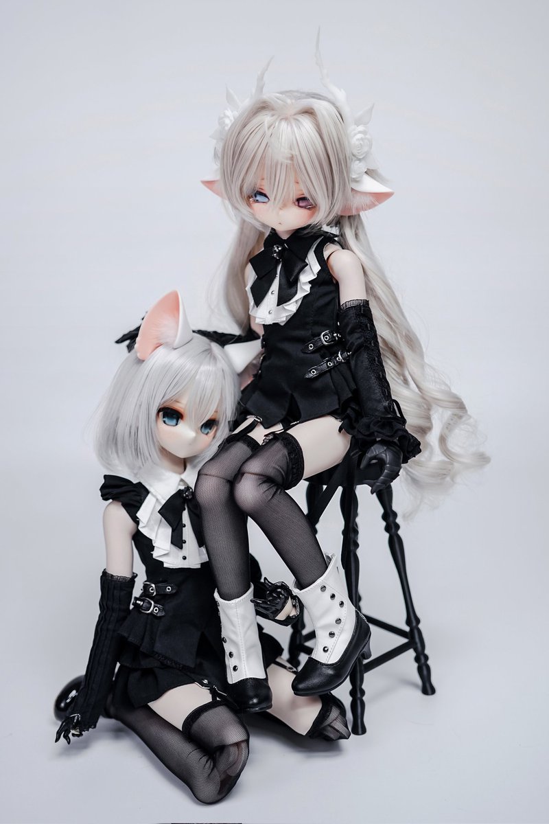 夢見 わしゅう🦊もふもふしたい (@wasyu_y) / X