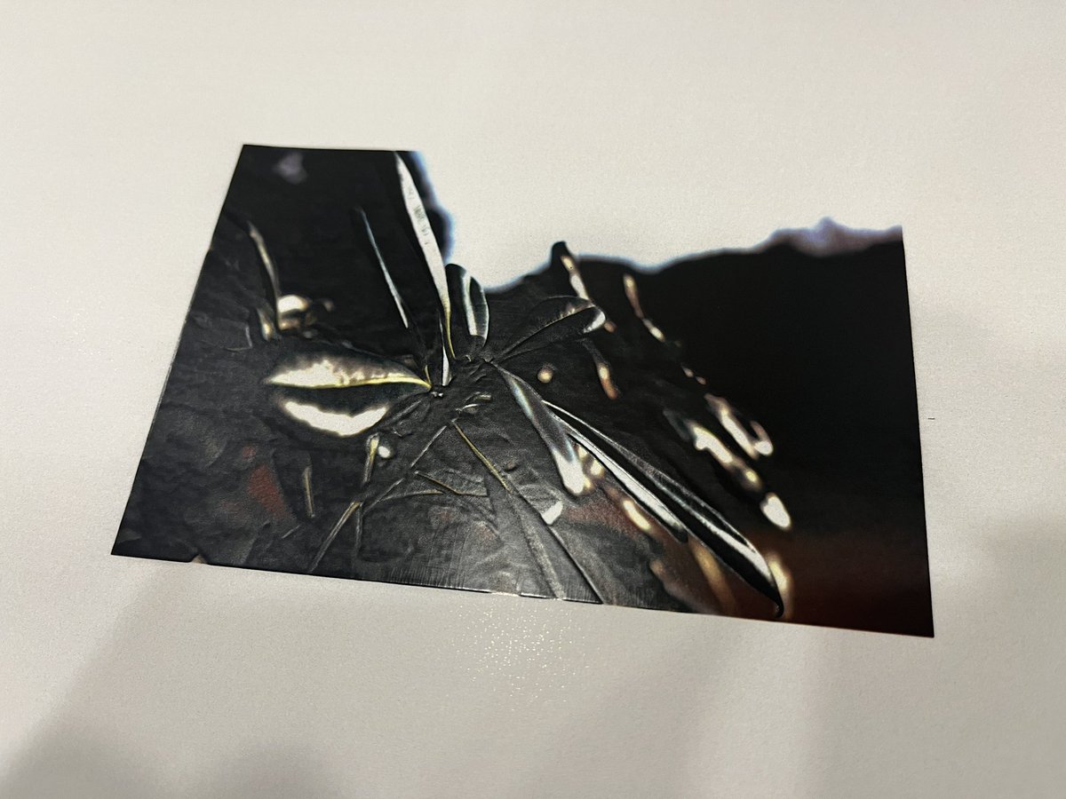 田中和真 (@tanaka6zuma) on Twitter photo 