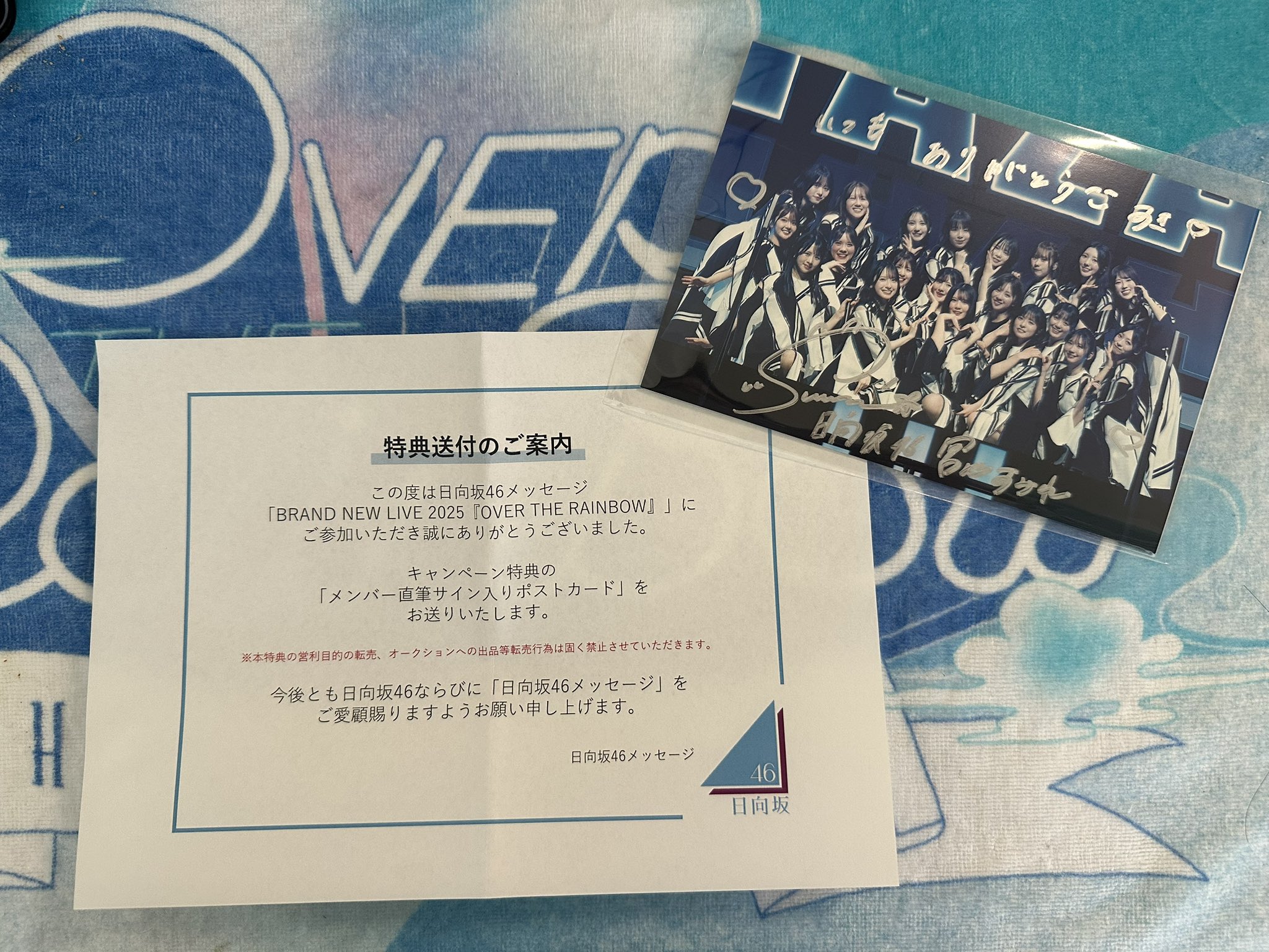 日向坂46 宮地すみれ 直筆サイン入り生写真 日向坂46 宮地すみれ ネイビーサンタ 直筆 サイン 生写真 激レア