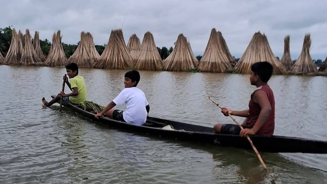 পাটকাঠি থেকে কৃষকের মুখে হাসি