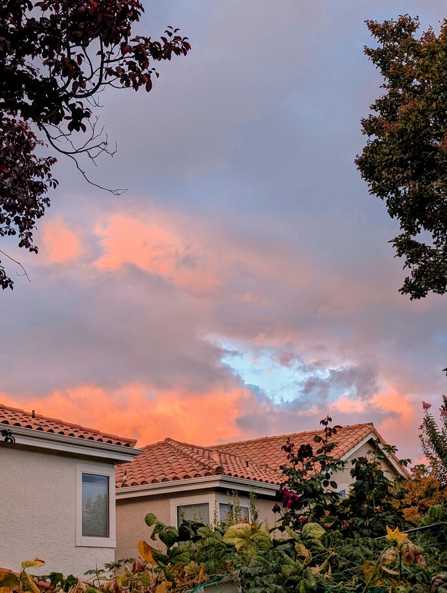 _Rani_Dixit's tweet image. Photo challenge. It’s like a painting ! 🖼️🎨
#theme_pic_India_sunsets
#Myclick 
Sunset above my house 🏡