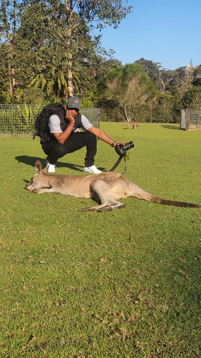 therealmouseman's tweet image. On my way back😛