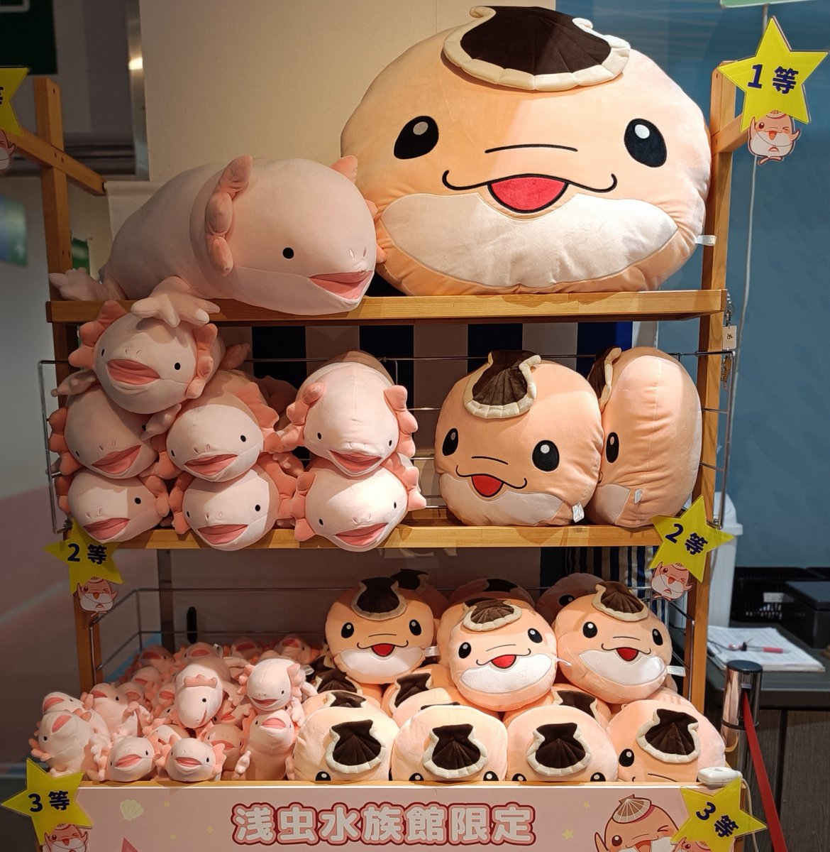 ハズレなしっ！ 1回1,000円イルカくじの景品が新しくなりました！ 3