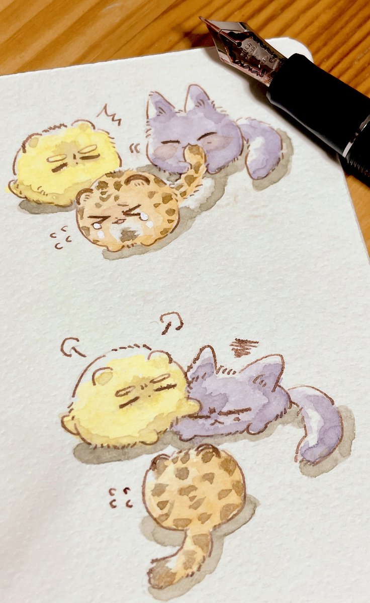 しま🐾 tweet media