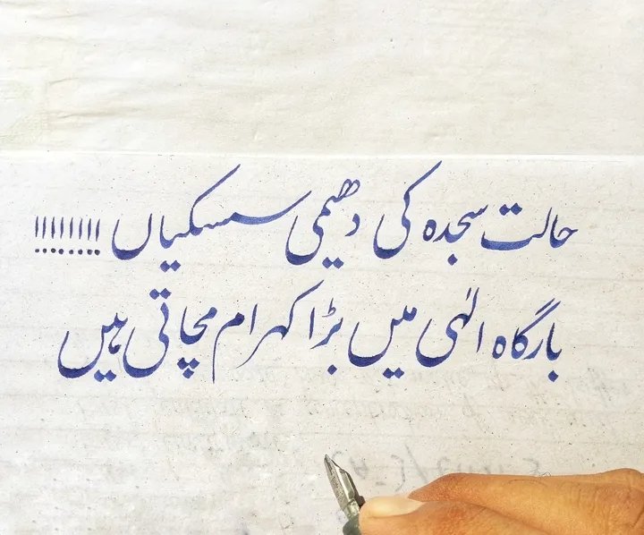 Xahid tweet media