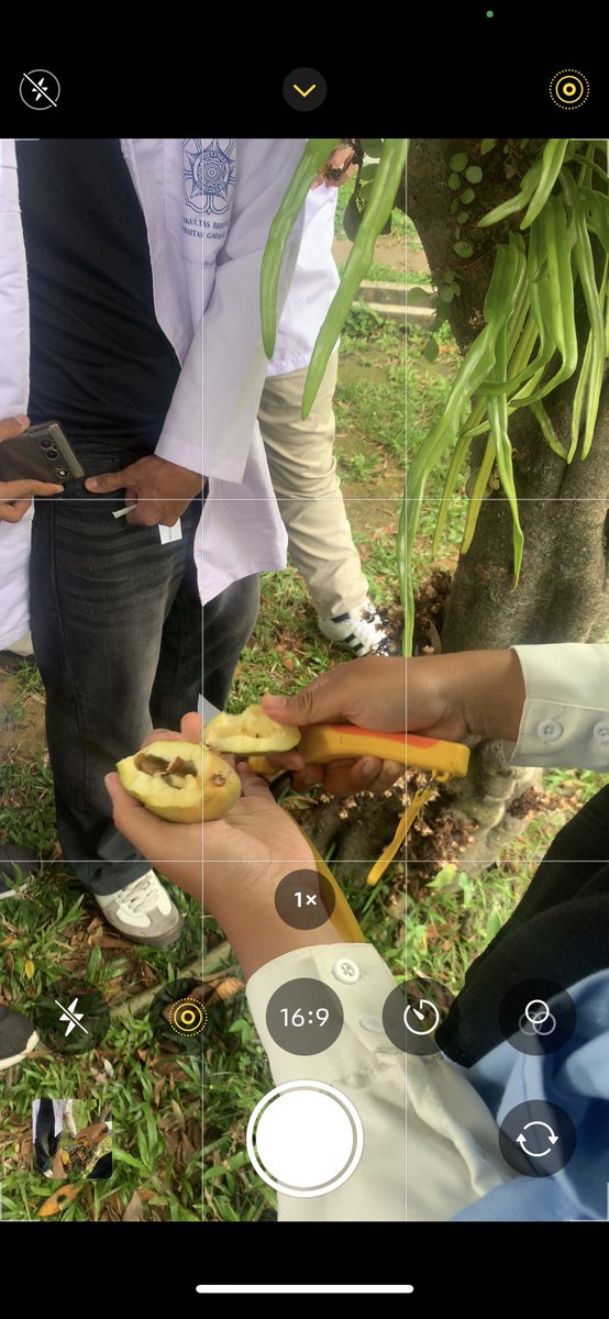 buah “puki anjing” 😭😭