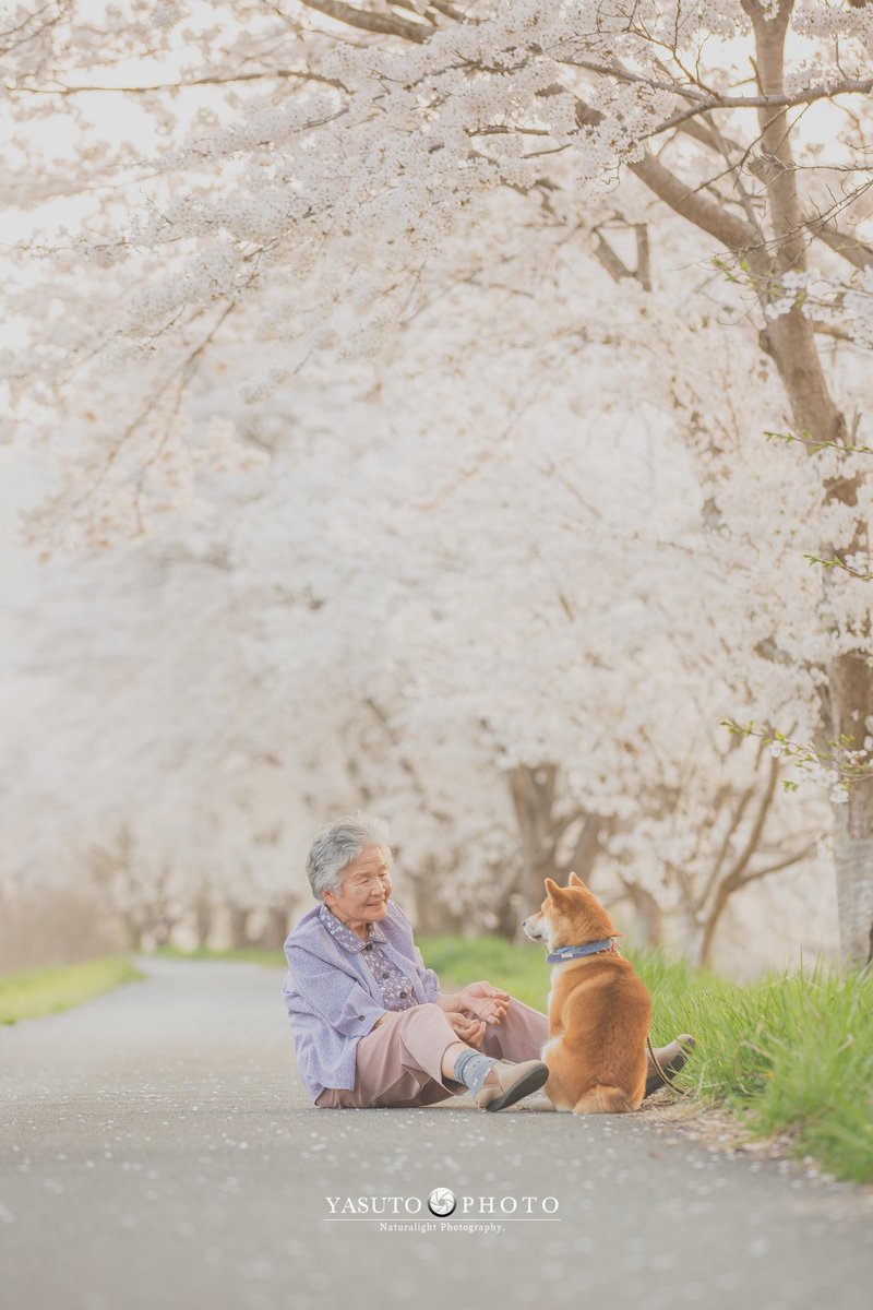 はだけてるばあさんカード ひいおばあちゃんのディオチェスタ ばばくささがいいよねこの