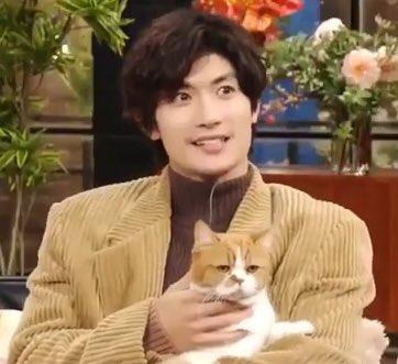 これを見た人は2ショットを貼れ #三浦春馬さん #猫の春馬くん😸