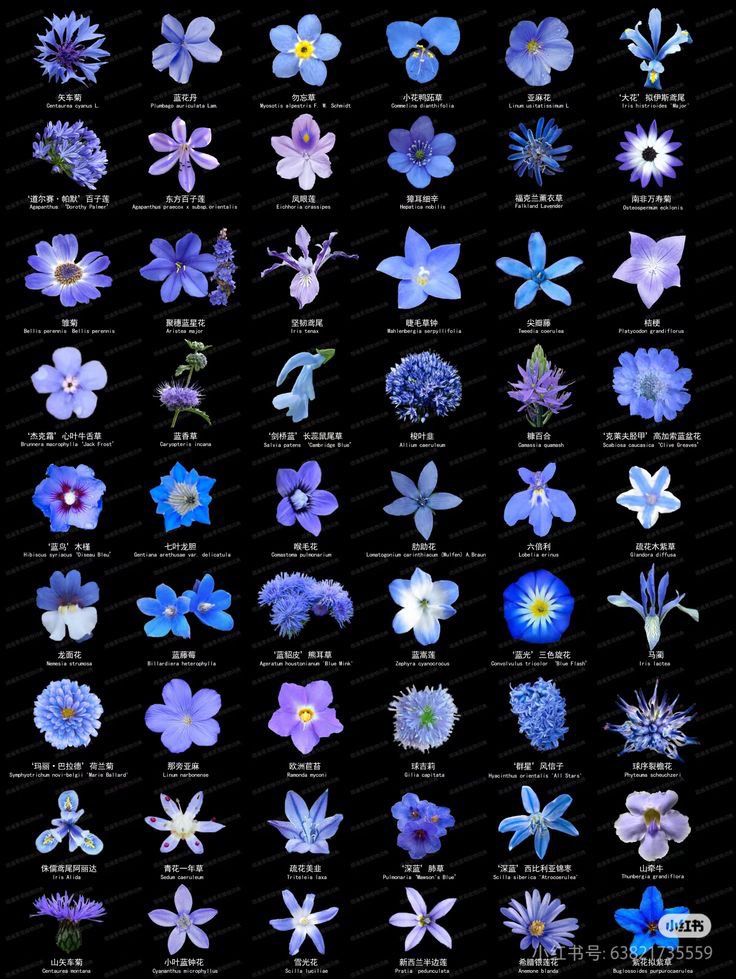 22:22 (@22hrr22min) on Twitter photo 