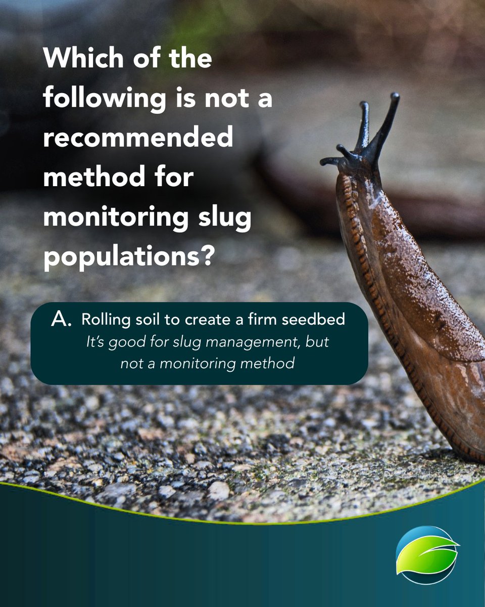 certis_belchim's tweet image. Here is today&apos;s slug quiz answer! Did you get it right? Let us know in the comments. #SlugControl #CalibrationWizard #CertisBelchimUK