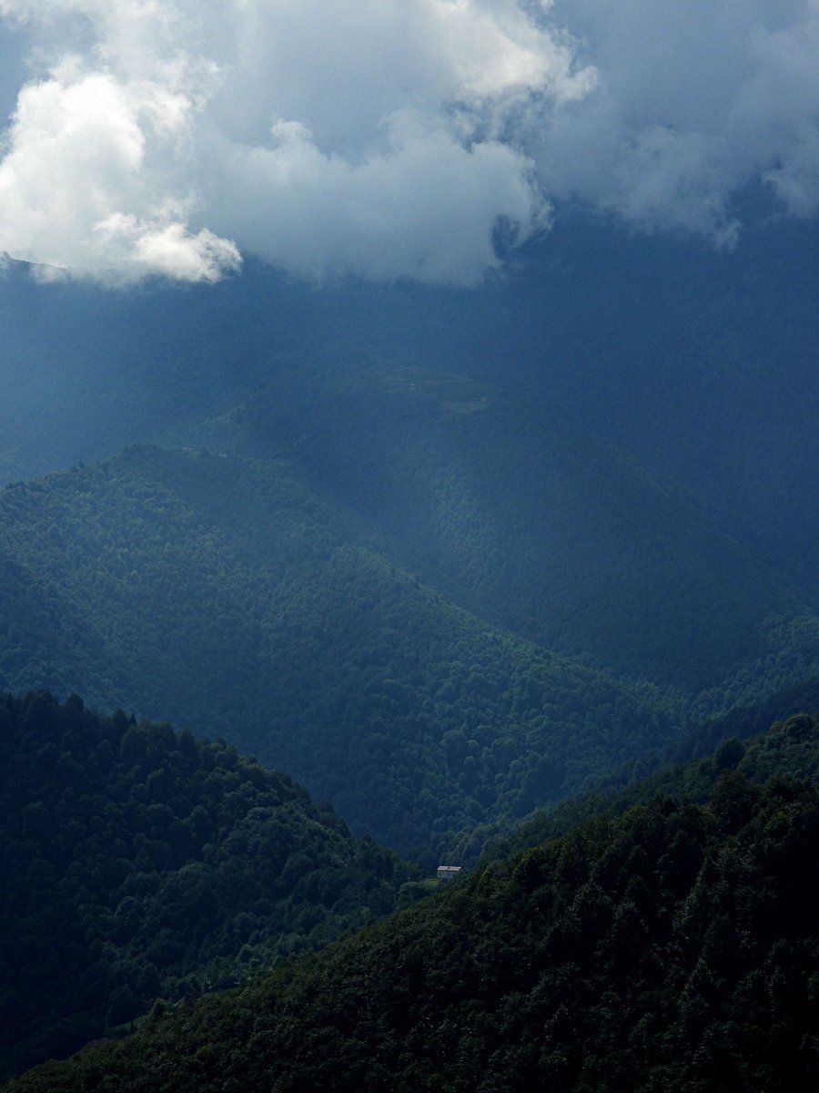 Ait olmadığın yerlerle savaşmayı bitirmektir, huzur.

| Trabzon