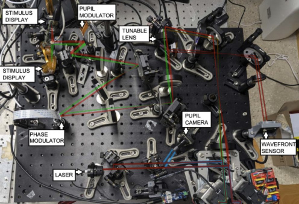 pablo_artal's tweet photo. NEW research paper published in #BOE journal (open access)! @OpticaWorldwide @OpticaPubsGroup
@Lo_um @UMU @Voptica 

"Binocular adaptive optics visual simulator with convergence control" by Sager et al.

A great step torward a realistic visual simulator

 https://t.co/2F8WCTn7M3 https://t.co/Bq312vs3oj