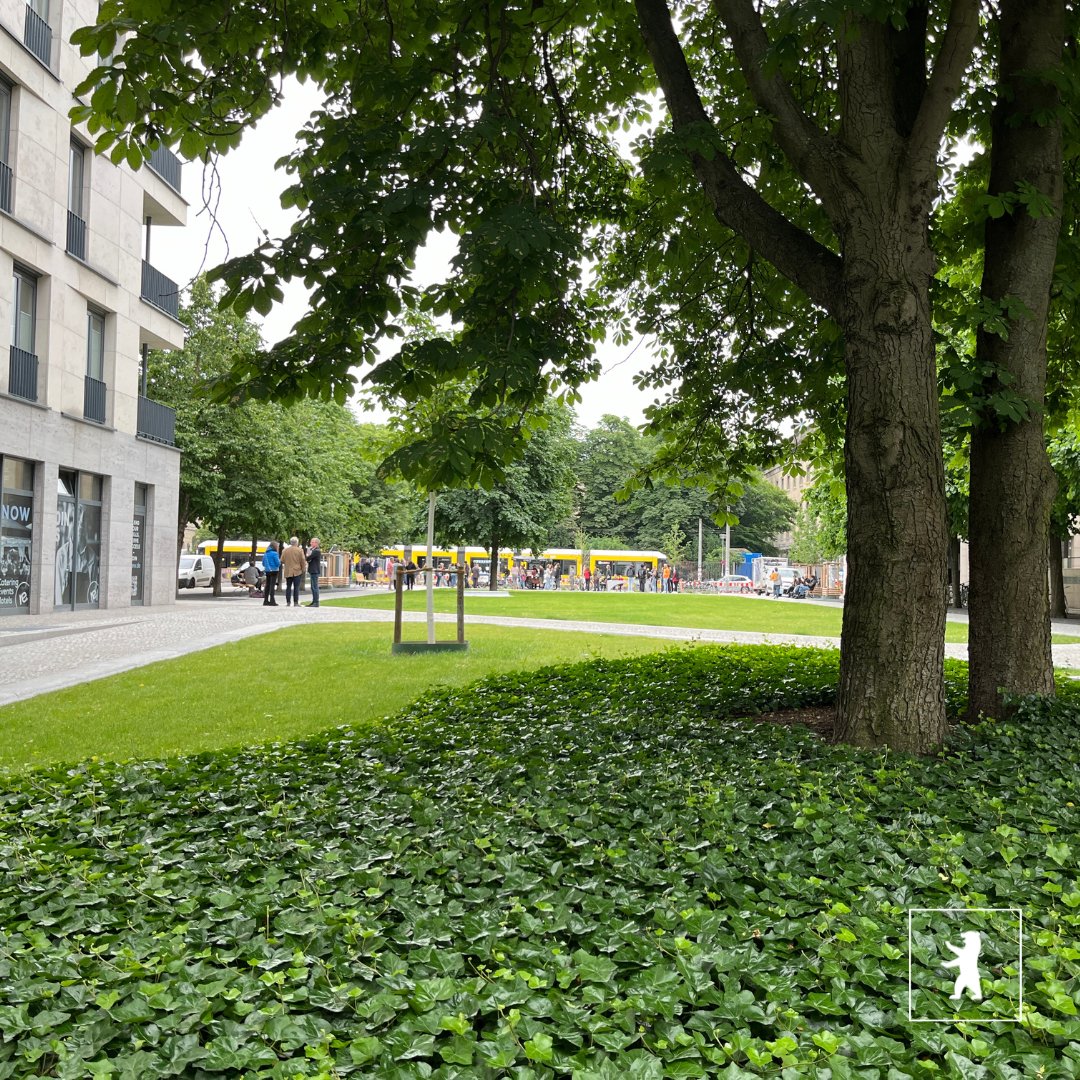 Klimaanpassung erleben auf dem Hegelplatz am 18. &amp; 19. September, jeweils von 18 bis 19 Uhr. 🌱  Findet raus, wie Regenwasser vor Ort versickert und Bäume sowie Grünflächen kühlt – Ein kleiner Platz mit großer Wirkung. Die Teilnahme ist offen &amp; kostenlos.