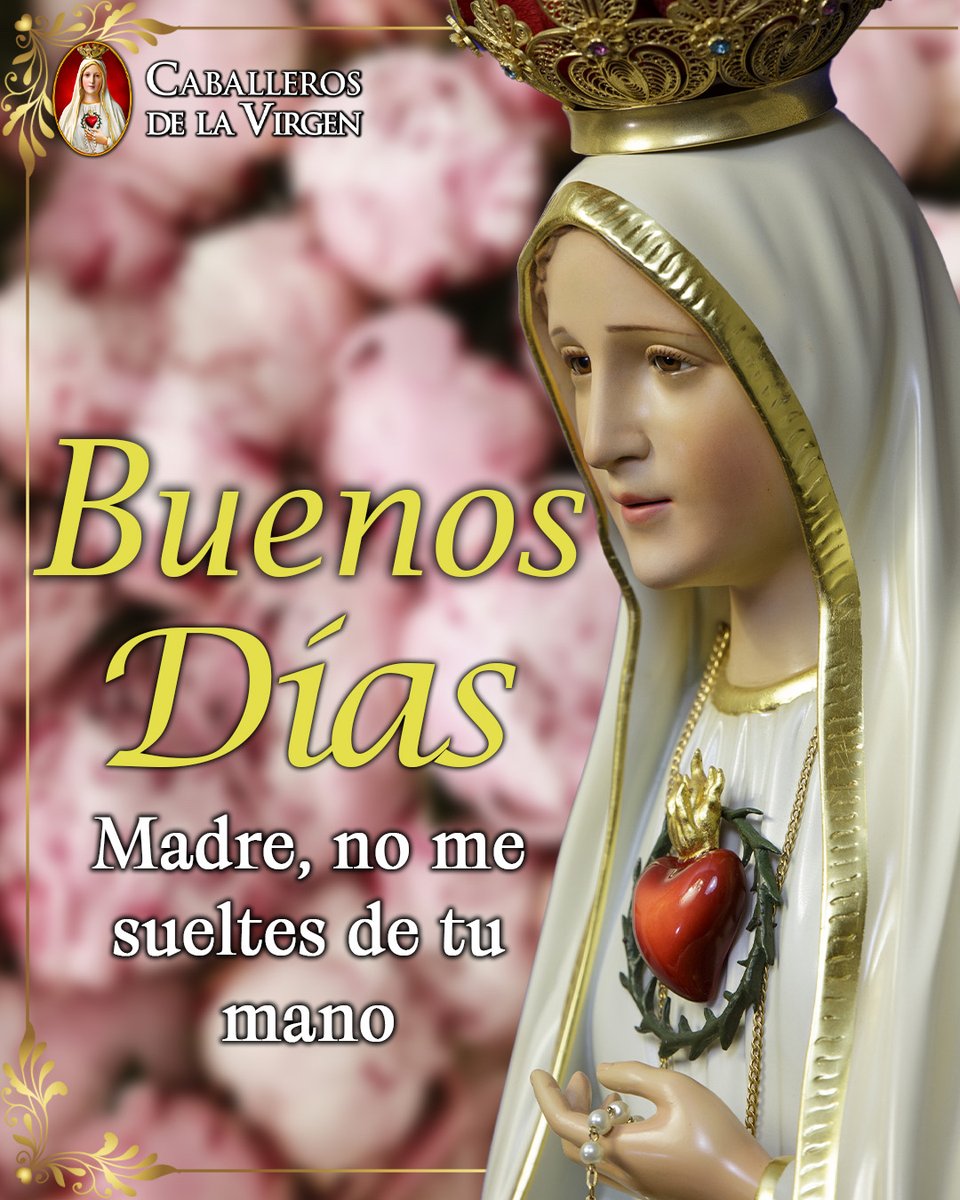 Caballeros de la Virgen tweet media