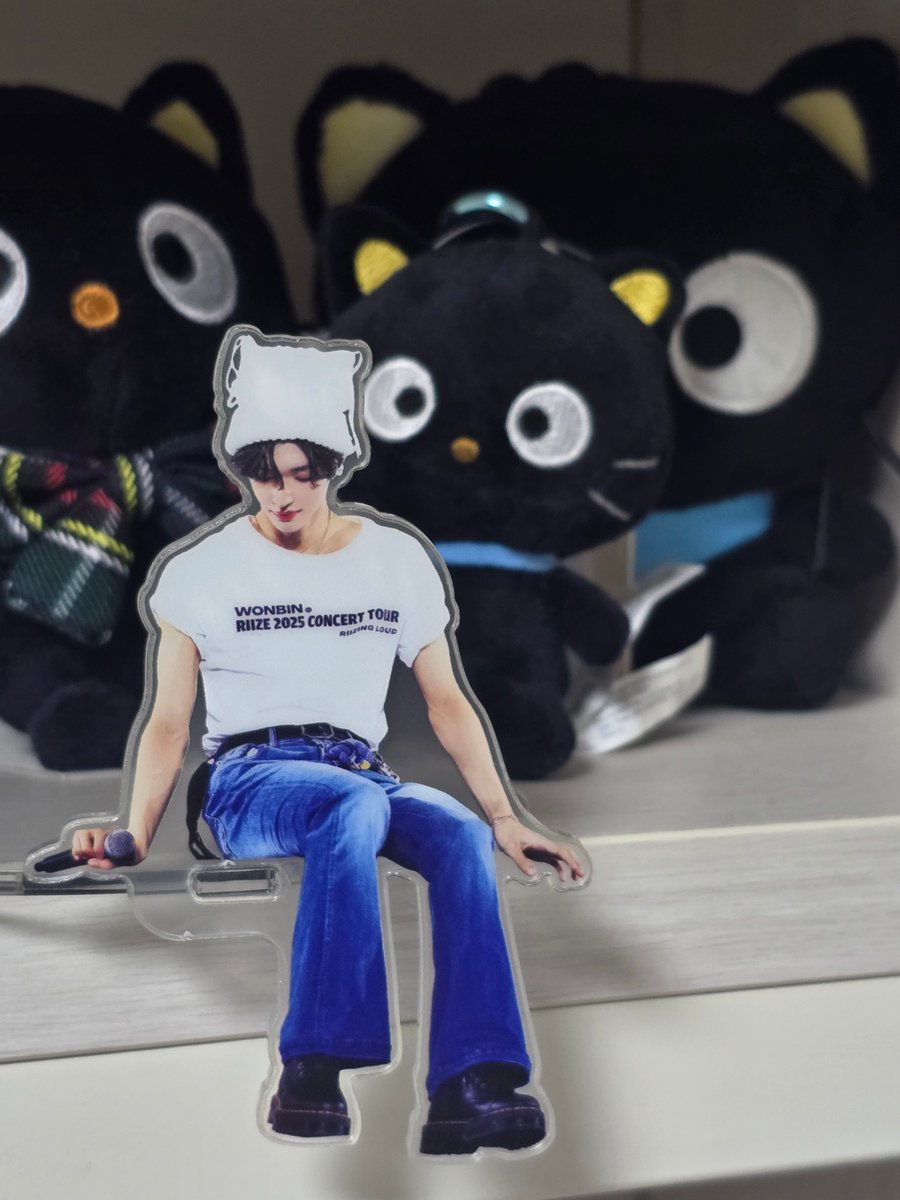 귀엽고
귀여워서
귀엽다
 ≽^•⩊•^≼