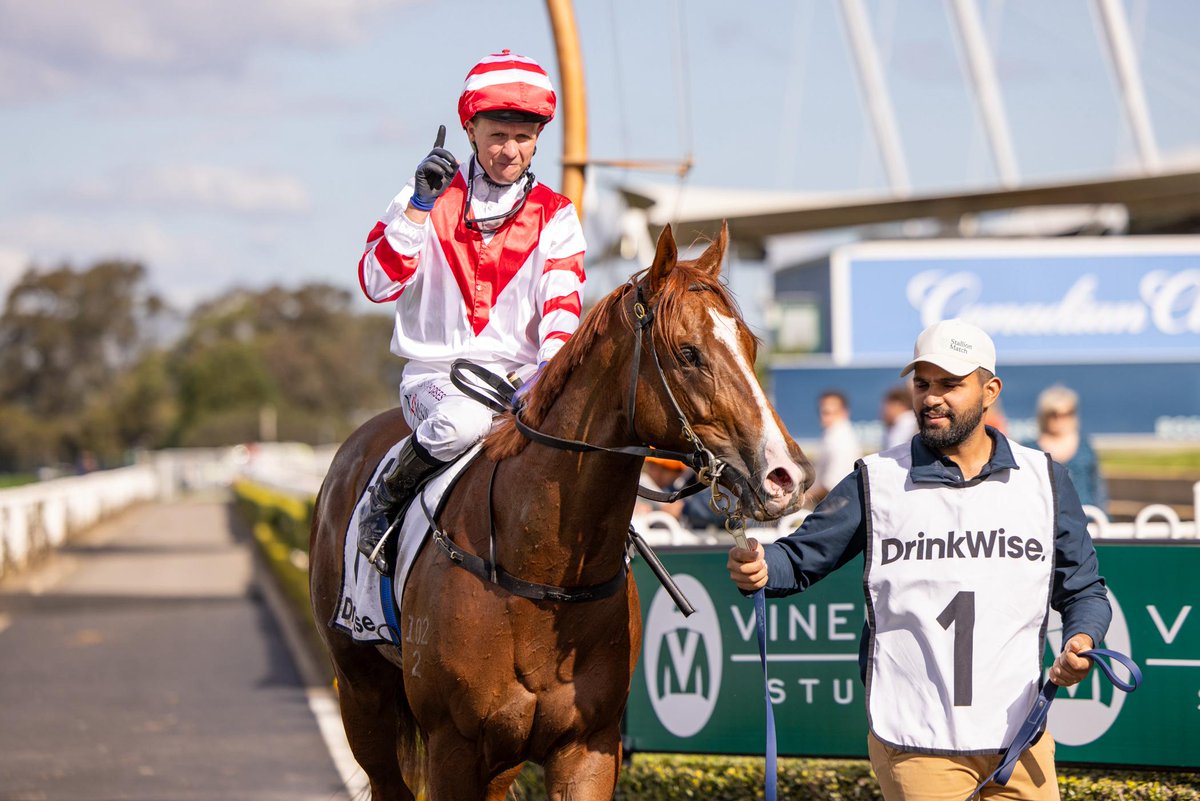 Stallion Match (@stallionmatch) on Twitter photo The Run To The Rose is where the best meet the best ๐
From Anamoe to In Secret, Bivouac to Cylinder โ this race is a launchpad for champions.
This year, our very own Skyhook carries the Red V silks ๐ด
Full preview ๐ help.stallionmatch.com/article/120-thโฆ The Run To The Rose is where the best meet the best ๐
From Anamoe to In Secret, Bivouac to Cylinder โ this race is a launchpad for champions.
This year, our very own Skyhook carries the Red V silks ๐ด
Full preview ๐ help.stallionmatch.com/article/120-thโฆ