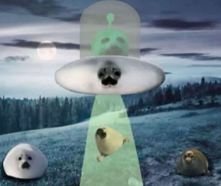 Can any seal experts way in if this actually happened