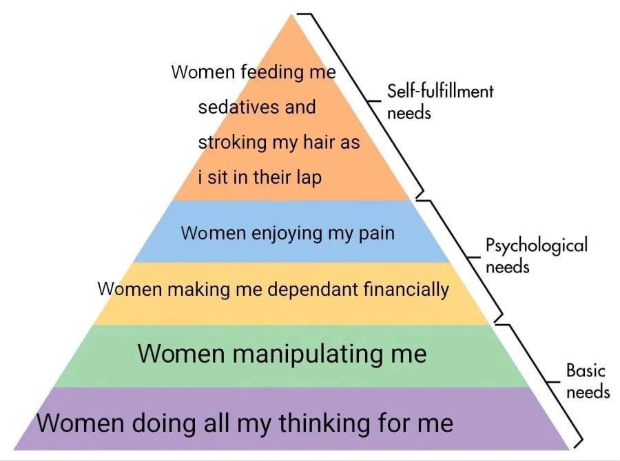 Luna🐾🐶 (@lunaetastrum) on Twitter photo 