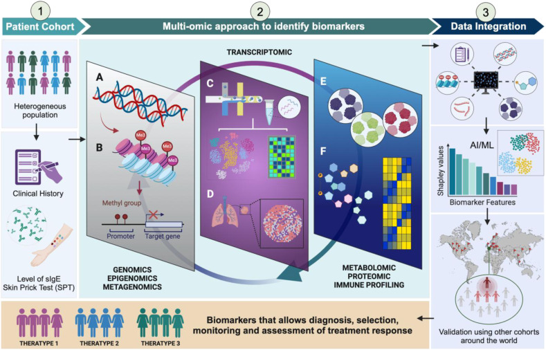 Aller_MD's tweet image. Review explore #multiomics approaches that have facilitated the evaluation of #personalized #biomarkers associated with #allergen #immunotherapy, particularly in the treatment of #allergic #diseases. ivancevichmd.blogspot.com/2025/09/multio…