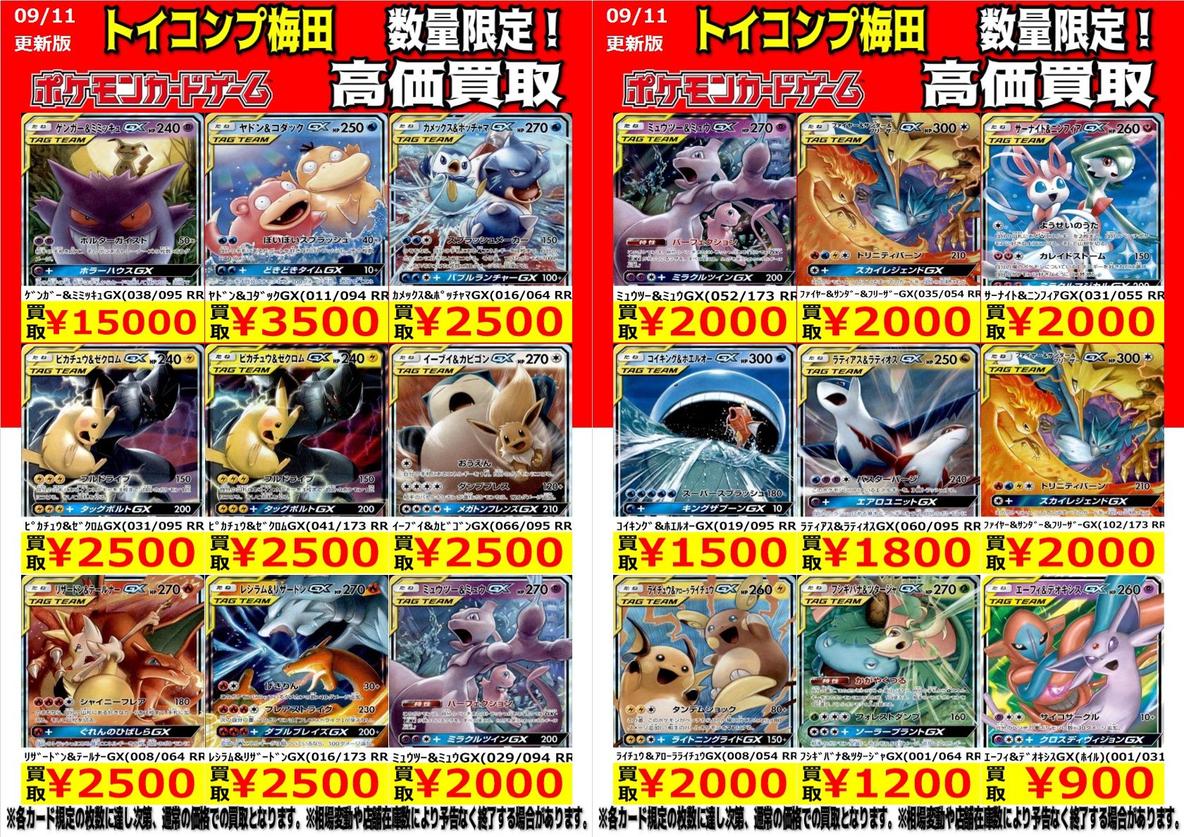 ピカチュウ&ゼクロム ファイヤー&サンダー&フリーザー イーブイ&カビゴン