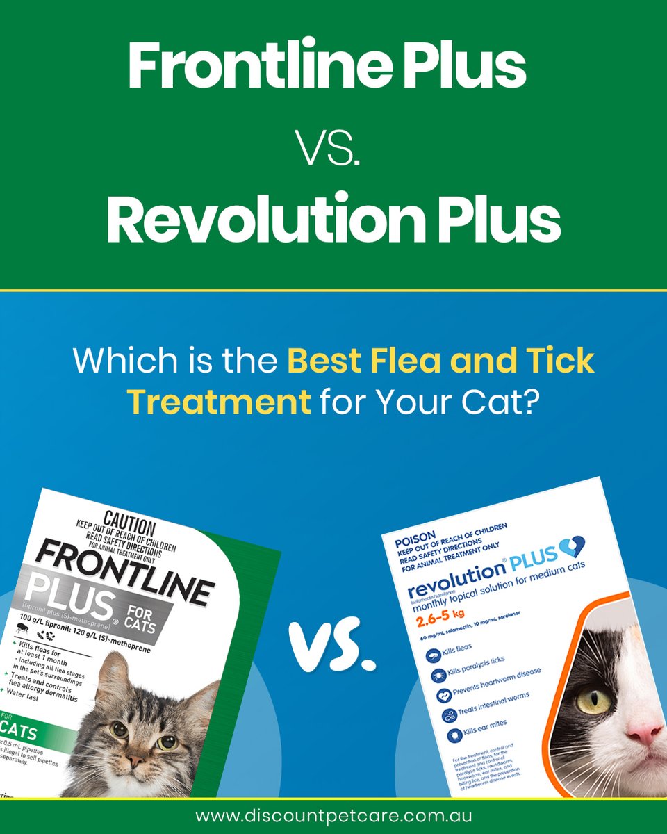 DiscPetCareAU's tweet image. Frontline Plus vs Revolution Plus 🐾
Which is the best flea &amp;amp; tick treatment for your cat?

Find out which one offers superior protection for your furry friend! 🐱✨

📷 Read our blog! : bit.ly/4nvgwq6

#FleaAndTickPrevention #CatHealth #FrontlinePlus #RevolutionPlus