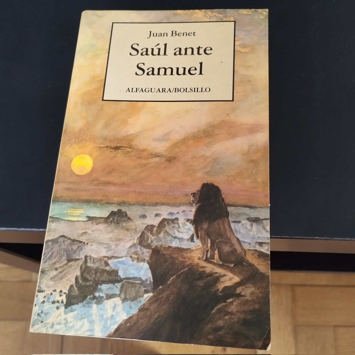 Terminada. Novela de lectura exigente; poemática, de gran densidad simbólica. Propone una reflexión de los personajes desde dentro de la conciencia