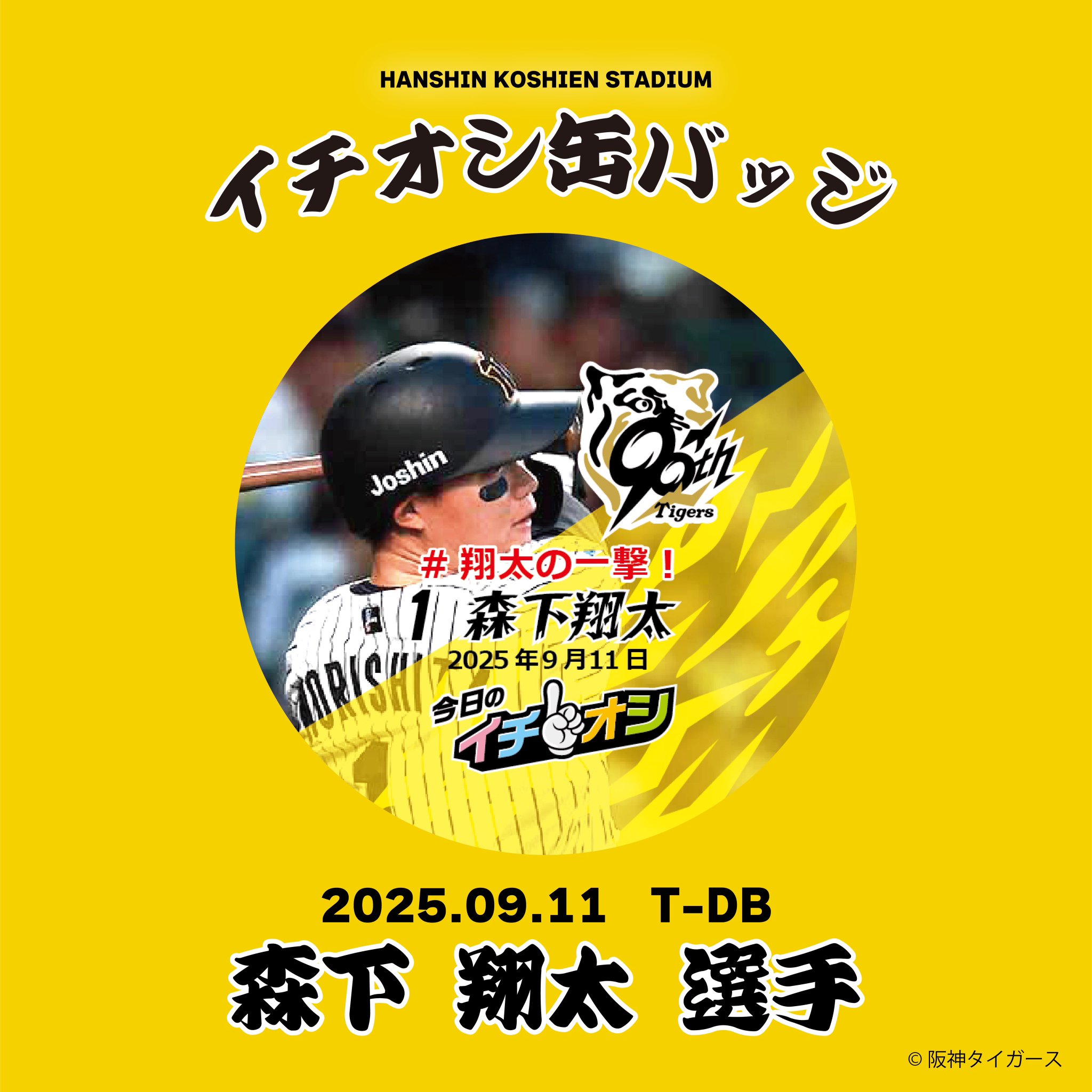 日大鶴ヶ丘甲子園記念日パーカー 公式】阪神甲子園球場 on X: 