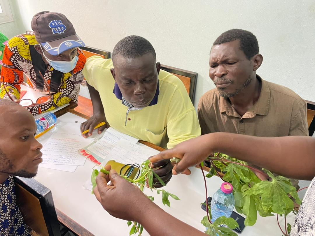 AgricultureTg's tweet photo. #FSRP Togo : Les producteurs de la Plateforme d’innovation manioc frais sont outillés sur les bonnes pratiques de production de manioc
👇🏼👇🏼👇🏼
https://t.co/6LEtleTkht
@GAFSPfund 
@BM_Afrique 
@CORAFNews 
@FsrpWa 
@GouvTg 
@followers https://t.co/ib5QLfMUuS