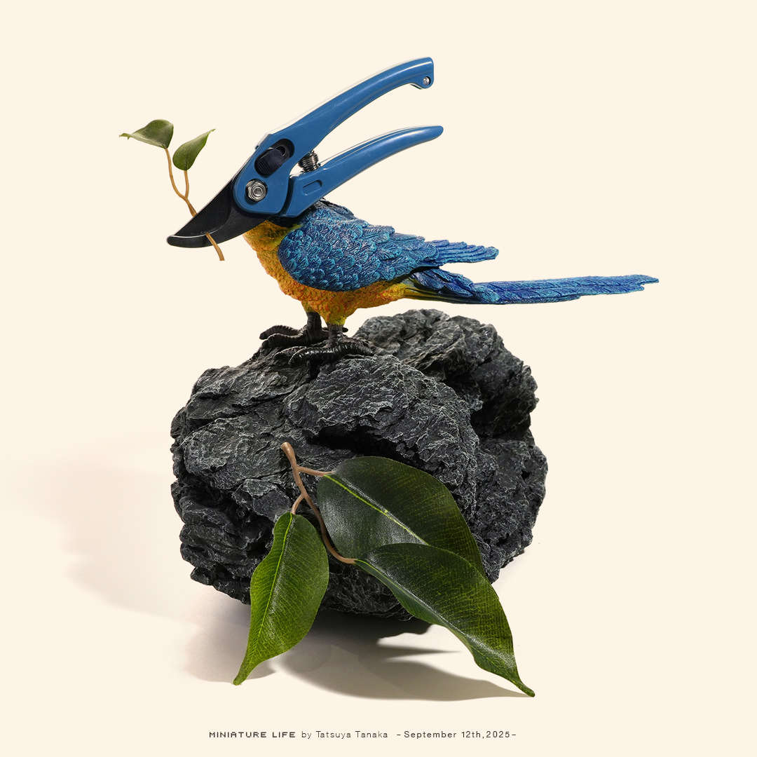 たつや Post by Tatsuya Tanaka 田中達也 on X: 絶滅“器具”種