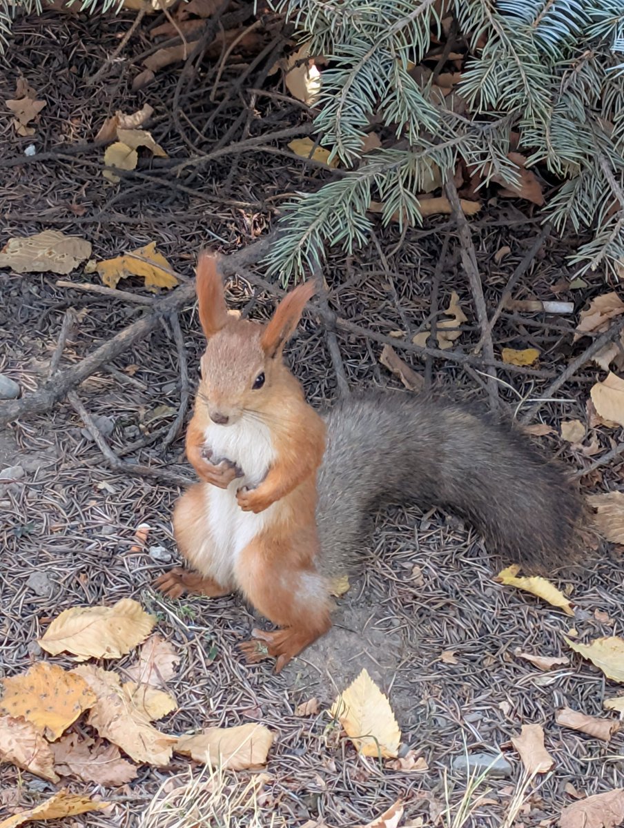 My typical Almaty 😎