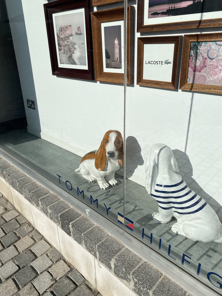 EmilyRm1972's tweet photo. ⁦@Truckin_Bassets⁩ just to cheer you up a bit, I saw these in Cyprus &amp; thought of you 🐶🐶 https://t.co/iCJdwWKhxX