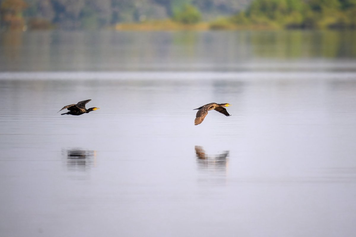 Catch me if you can!