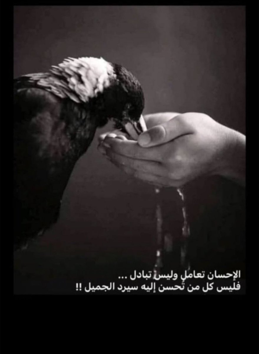 #حبيت_أقول 

نصبح ونمسي في زحامٍ من النعم
الحمدلله قولًا وفعلًا وشكرًا ورضًا💜