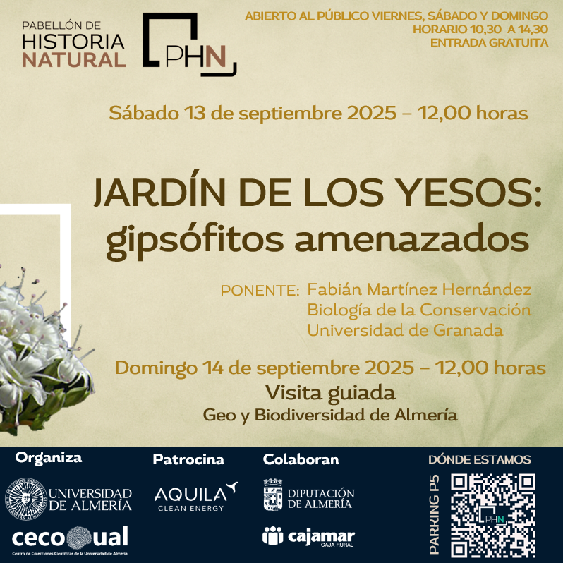 CECOUAL 🐌 tweet media