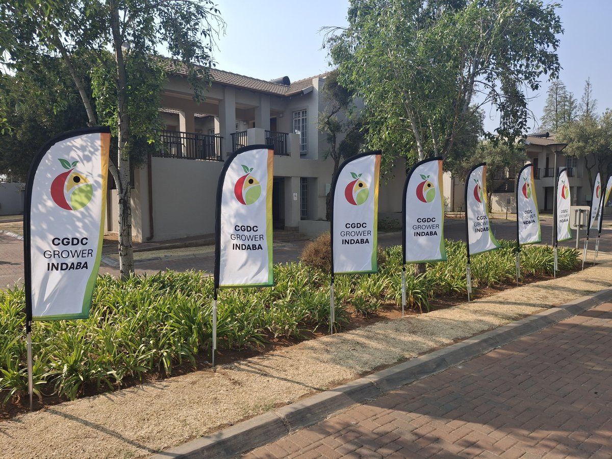 Getting ready for the start of the Citrus Grower Development Chamber Indaba - a platform representing emerging and established black citrus growers. It will be a two-day celebration of one of South Africa’s most transformed agricultural industries. #growerindaba #citrusindustry