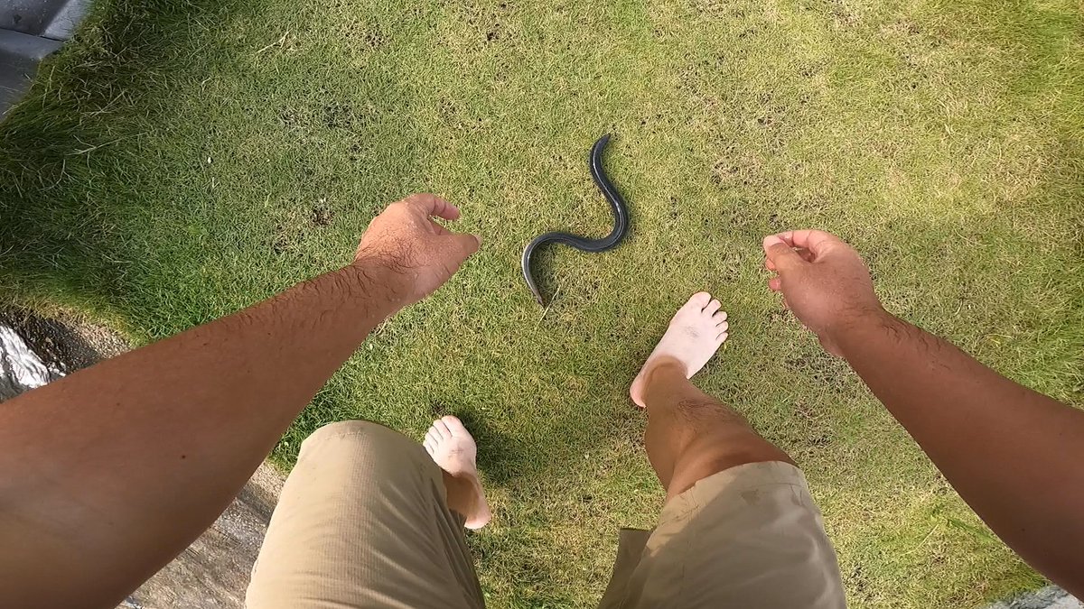 UMAMI_GO's tweet image. 『うなぎの掴み取り』明日公開予定です！
よろしくお願いいたします。
#UMAMIGO