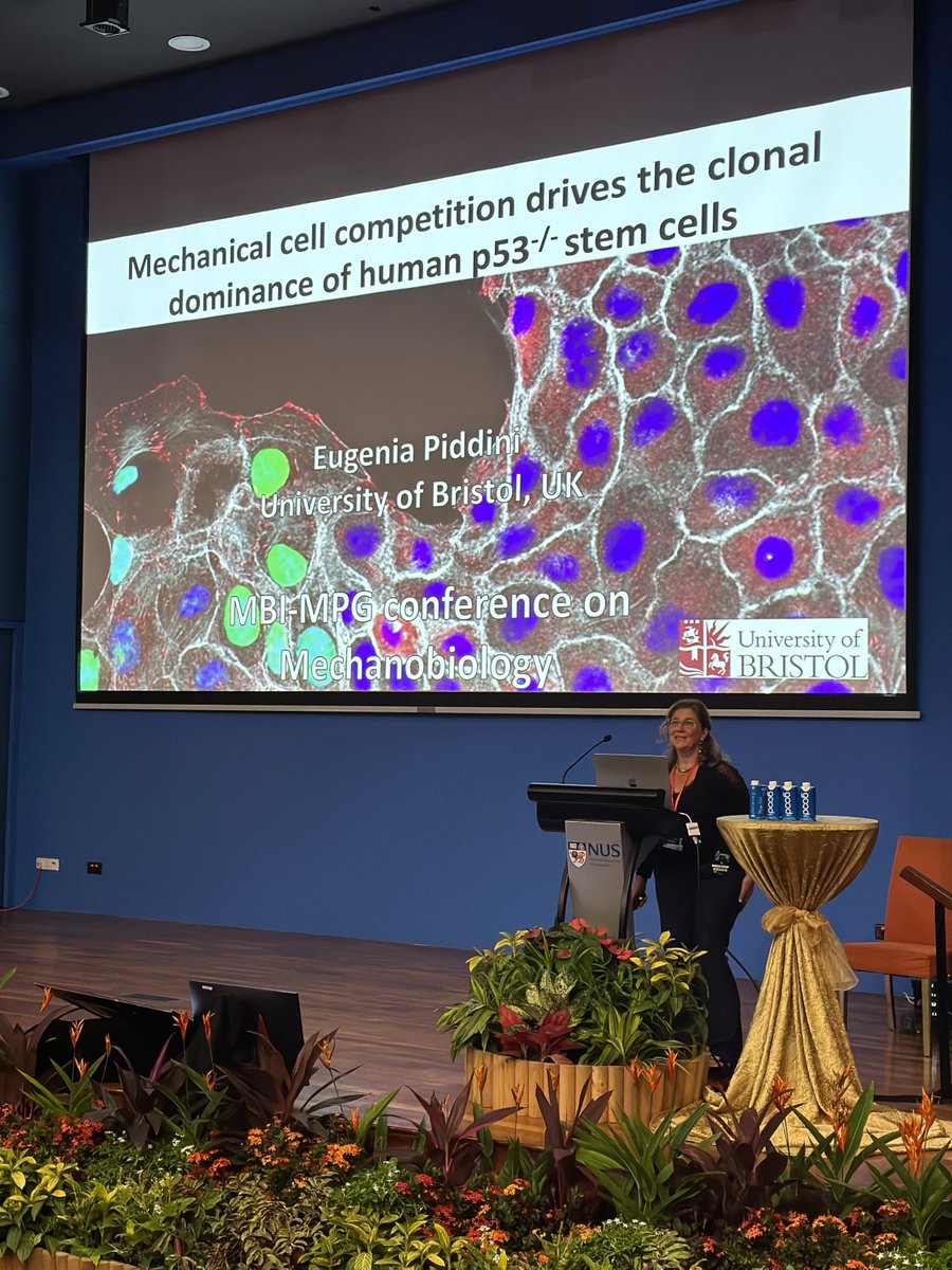 Mechanobiology Institute tweet media