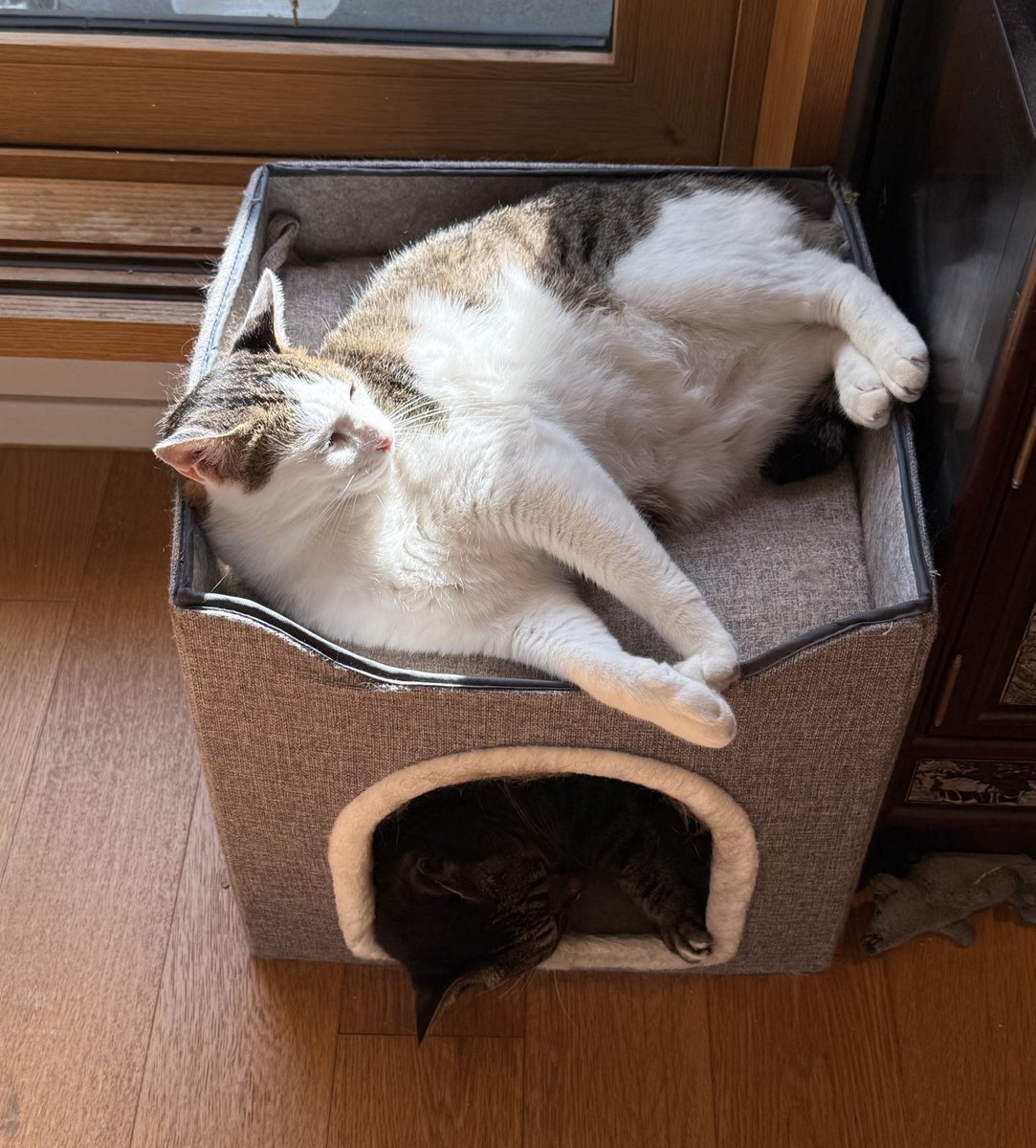 가을 햇볕이 좋은 회돌이