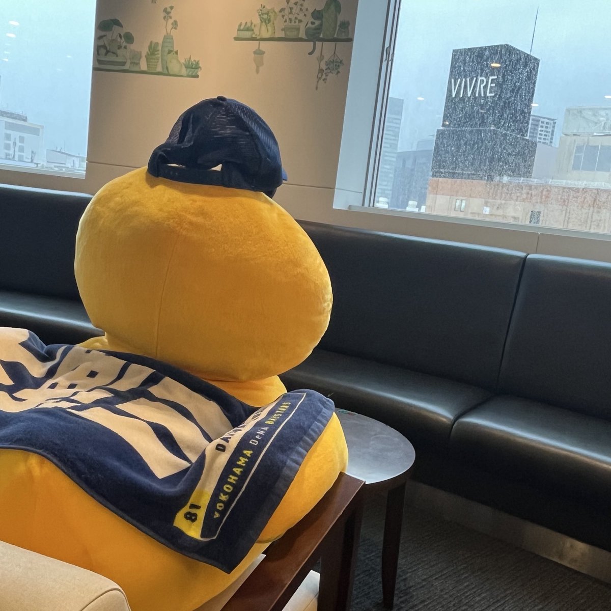 spaeas's tweet photo. 甲子園球場☔️大丈夫かなあ…

たそがれ中の番頭🐤

Hama bowlは9月末まで営業しております！ #ハマの番頭 の出向も残りわずか😢

＼会いに来てくださいね🎳／ https://t.co/7OXfAVo948