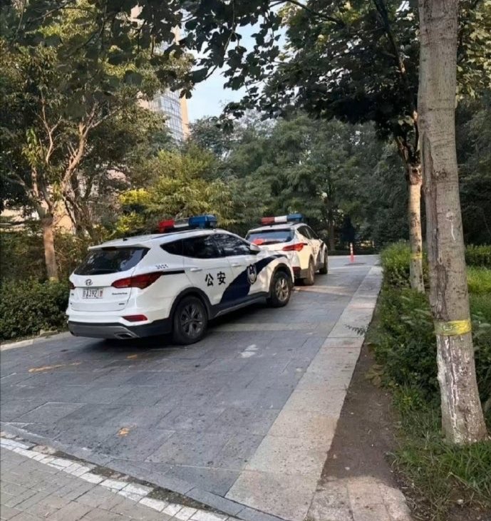 请叫我吃瓜王子！ tweet media