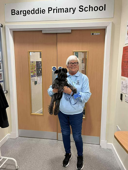 In North Lanarkshire 𝐓𝐡𝐞𝐫𝐚𝐩𝐞𝐭®𝐁𝐞𝐭𝐲 and volunteer 𝐄𝐥𝐚𝐢𝐧𝐞 have started a six week 𝐑𝐞𝐚𝐝𝐢𝐧𝐠 𝐖𝐢𝐭𝐡 𝐃𝐨𝐠𝐬 programme at 𝐁𝐚𝐫𝐠𝐞𝐝𝐝𝐢𝐞 𝐏𝐫𝐢𝐦𝐚𝐫𝐲 𝐒𝐜𝐡𝐨𝐨𝐥.... 🐾📚📖📚🐾
<a href="/TherapetC/">@Therapet-CCST</a> <a href="/CanineConcern/">CanineConcernTrust</a> <a href="/burnspetfood/">Burns Pet Nutrition</a>  <a href="/volunteerscot/">Volunteer Scot</a> <a href="/EducationScot/">Education Scotland</a>