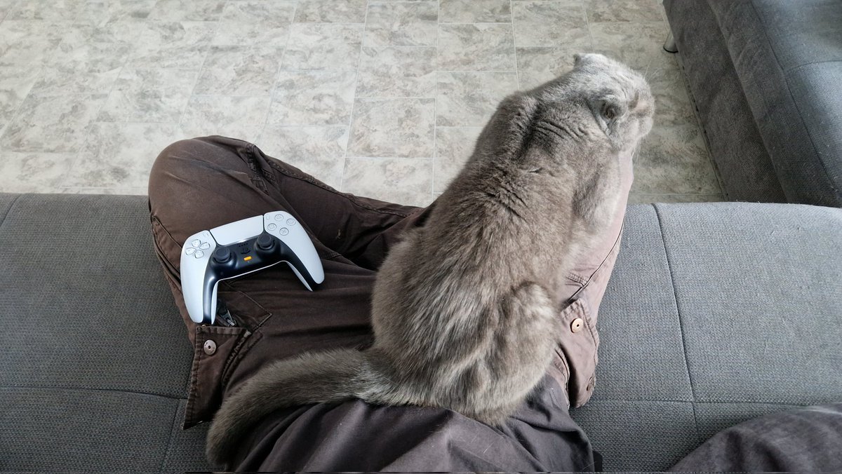 Good morning ☕️ Very rare sight on a Thursday.

(having new front and back doors placed, and an extra window in the attic, while I play games)