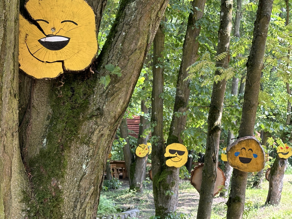 By integrating TourXpeRience into its curriculum, Warsaw University of Life Sciences (SGGW) is preparing a new generation of tourism professionals—digitally fluent, environmentally conscious, and ready to lead in sustainable innovation. 
#TourXpeRienceEU #XRinEducation