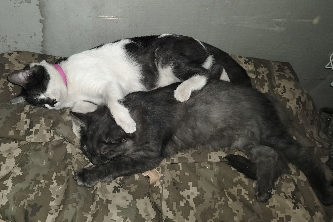 Це могли б бути ми, але ₚосія заважає нам бути щасливими